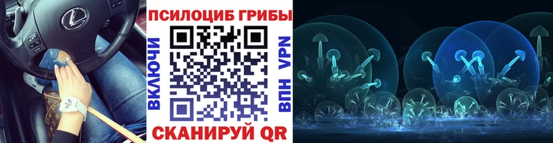 Галлюциногенные грибы прущие грибы  Ирбит 