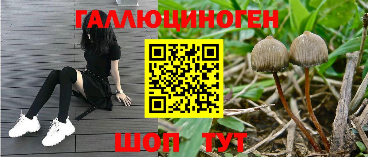 Ирбит  Псилоцибиновые грибы MAGIC MUSHROOMS  Псилоцибиновые грибы MAGIC MUSHROOMS  Вход с VPN 