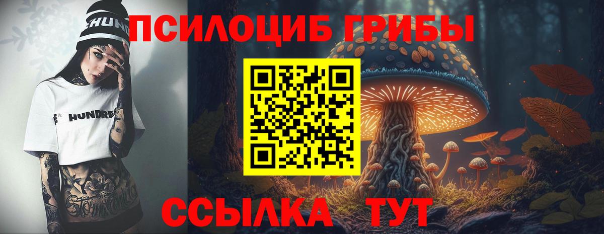 Галлюциногенные грибы Cubensis Ирбит